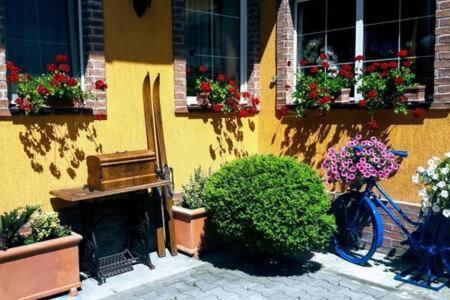Atrium 24 Suite Sighișoara Zewnętrze zdjęcie